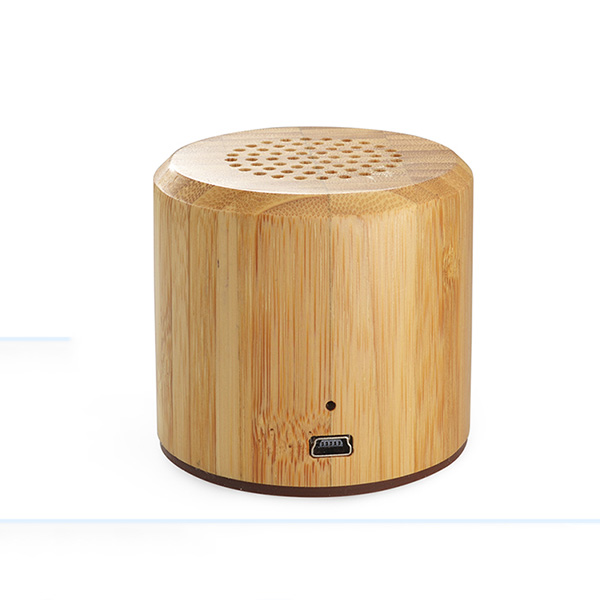 Bamboo Wireless Portable Audio Player